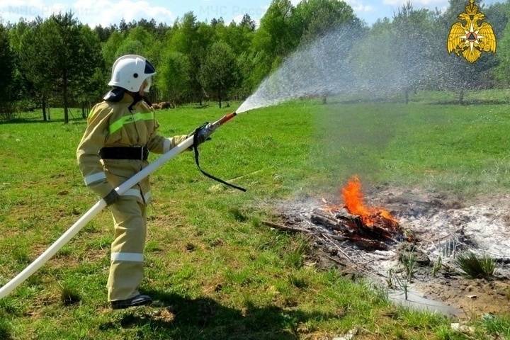 237 раз в Смоленской области добровольцы помогали в ликвидации пожаров