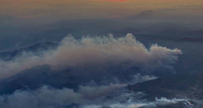 Лесной пожар возник вблизи аэропорта в Турции - его гасят с привлечением авиации