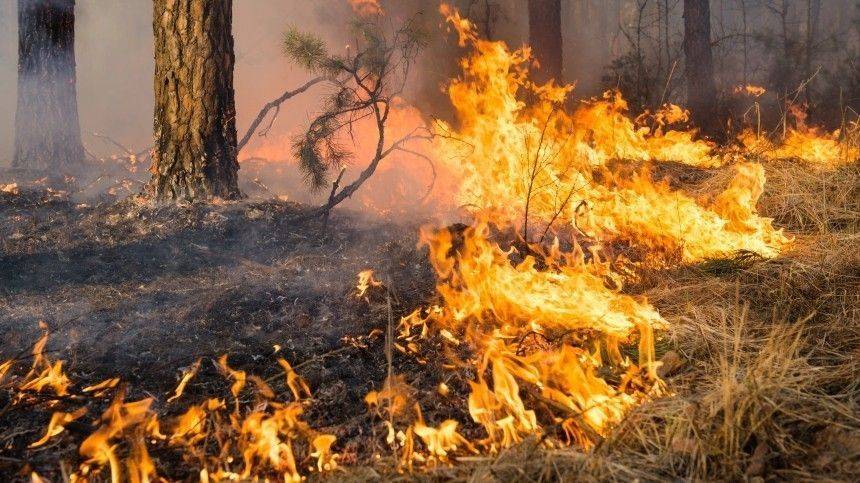 Из-за лесных пожаров эвакуированы жителе двух сел в Якутии