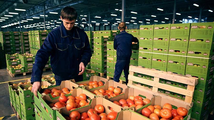 Цены на доставку овощей по России хотят снизить