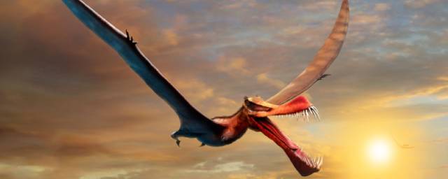 В Австралии ученые обнаружили останки птерозавра с семиметровым размахом крыльев