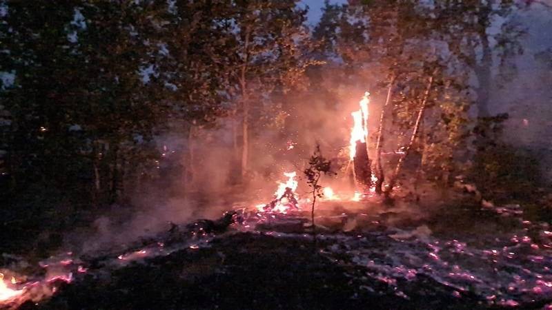 В Башкирии лесные пожары могли возникнуть из-за поджогов