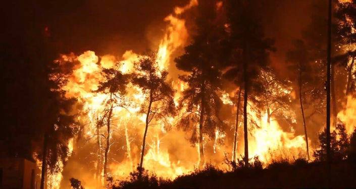 В Греции горят леса, власти готовят жителей к эвакуации – видео