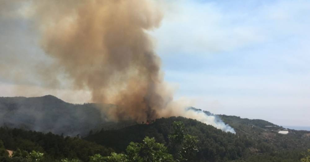 Почти все лесные пожары в Турции взяли под контроль