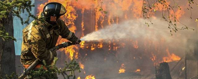 Владимир Путин поручил выделить дополнительные средства на тушение лесных пожаров