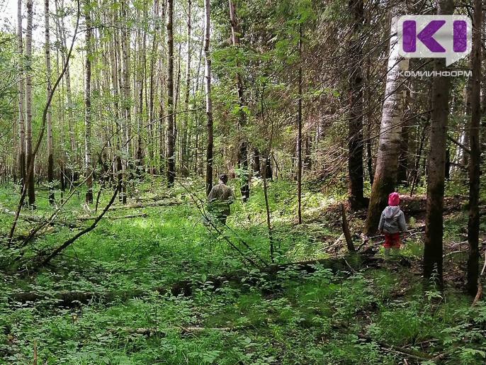 Три поисковые операции за два дня провели спасатели в лесах Коми