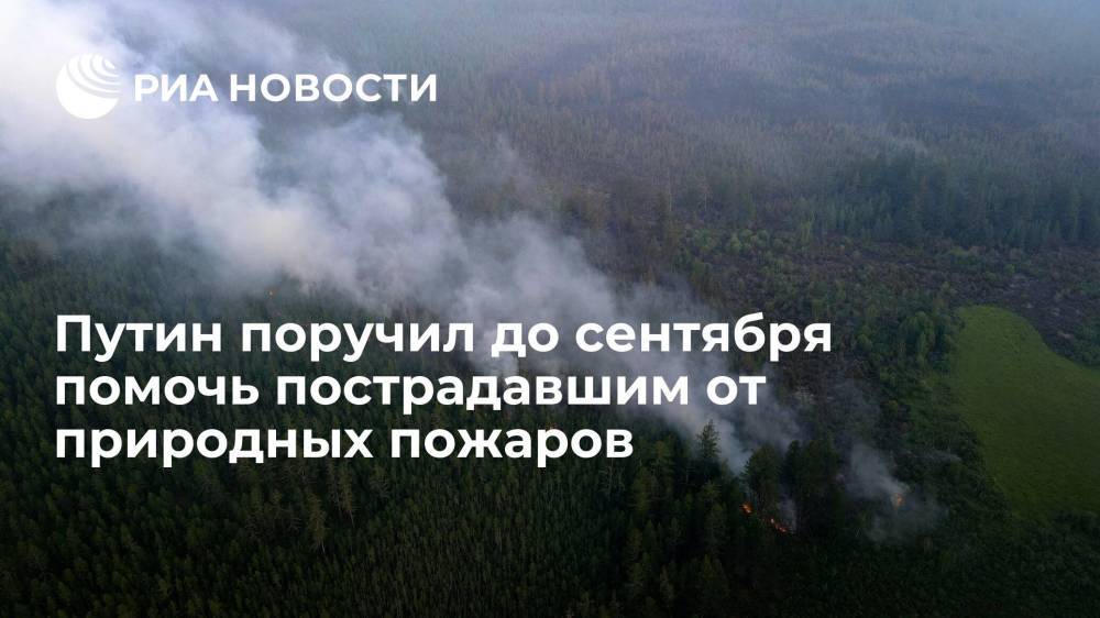 Президент России Путин поручил до 1 сентября оказать помощь пострадавшим от природных пожаров