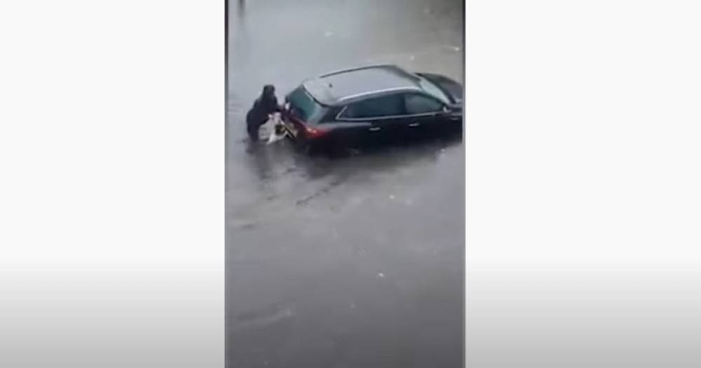 Пес, толкающий затопленный автомобиль рядом с хозяйкой, стал героем Сети (видео)