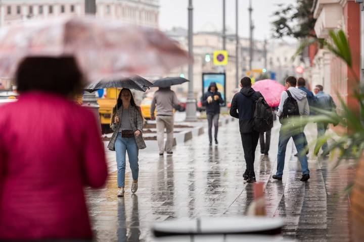 Синоптики предупредили москвичей о дождливой погоде и грозе 1 сентября