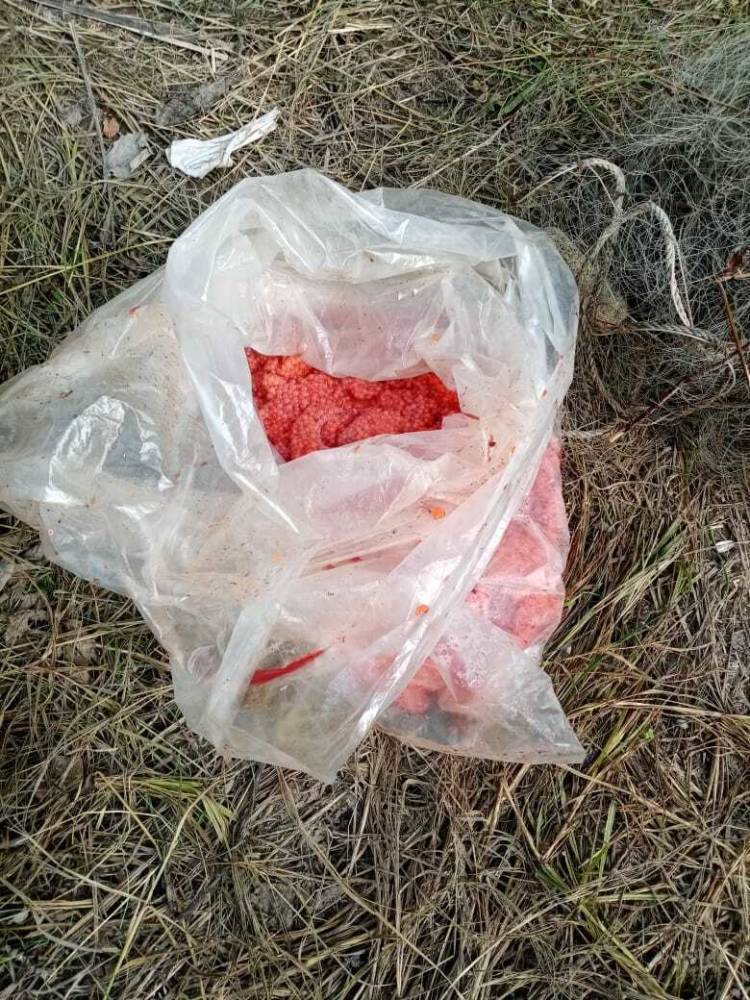 Сахалинские полицейские задержали браконьеров в устье реки Нитуй