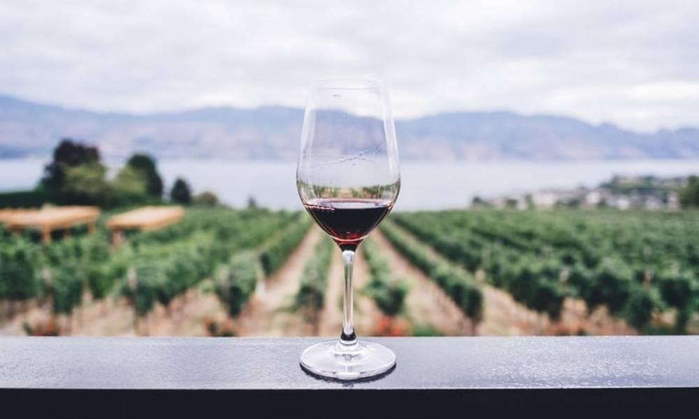 Ученые обнаружили, чем неожиданно опасен один бокал вина