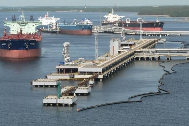 Проблемы с документами, медосмотром, радиацией: какие нарушения находили у порта «Транснефти» в Приморске
