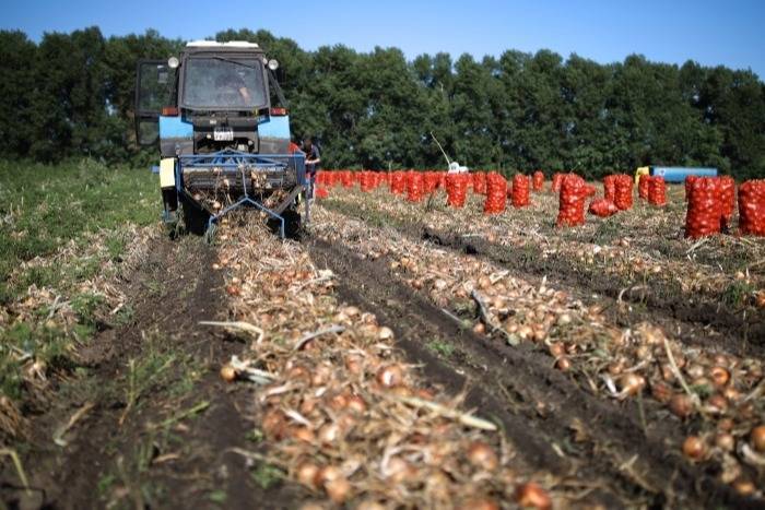 Башкирские аграрии из-за засухи потеряют 30 млрд руб., власти реализуют "план спасения"