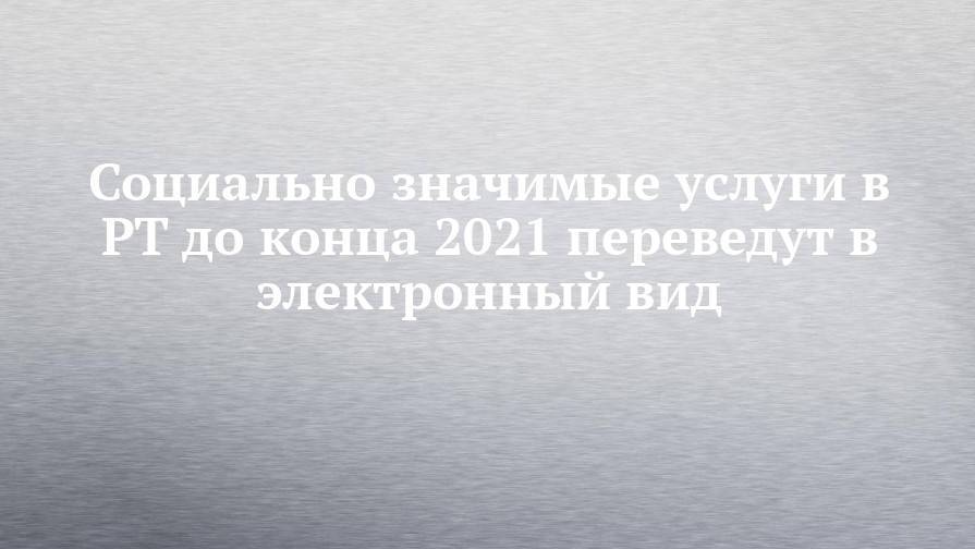 Социально значимые услуги в РТ до конца 2021 переведут в электронный вид