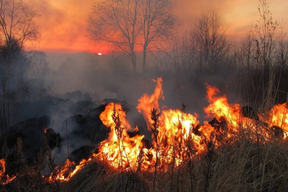 В трех районах Пензенской области прогнозируется высокая пожароопасность