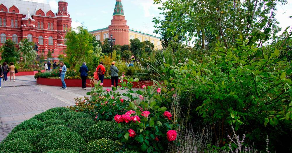Собянин рассказал об открытии 35 фестивальных площадок на День города в Москве