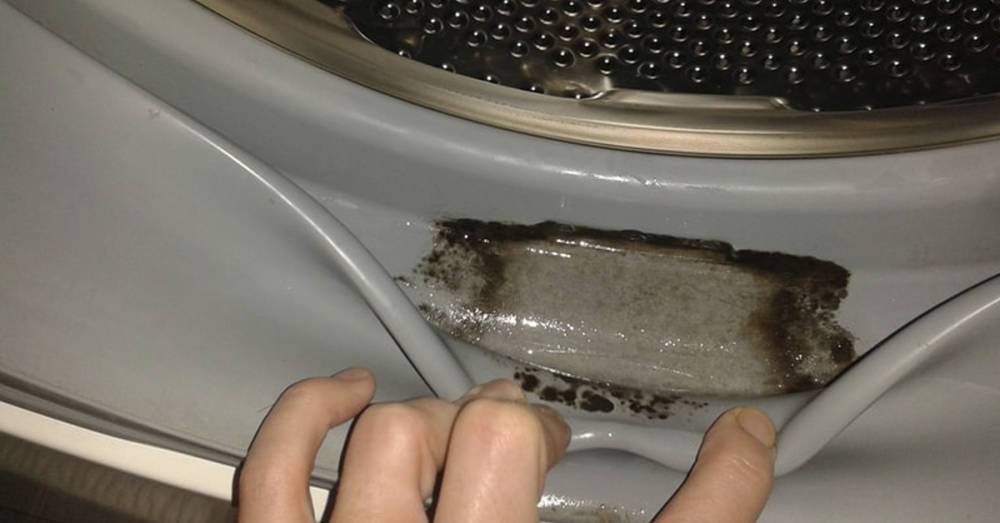 Скверная хозяйка призналась, что не в силах вывести плесень из стиральной машины