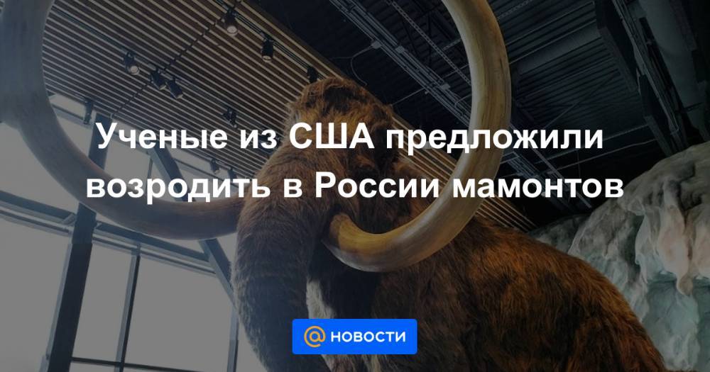 Ученые из США предложили возродить в России мамонтов