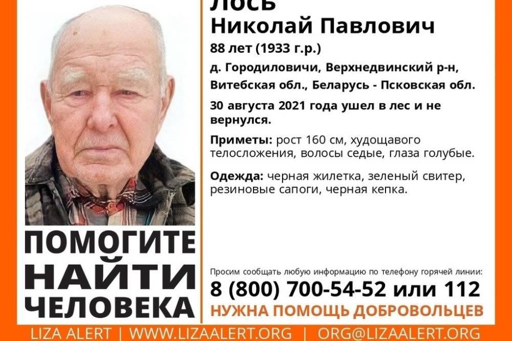 Пропавшего 88-летнего пенсионера ищут в Псковской области