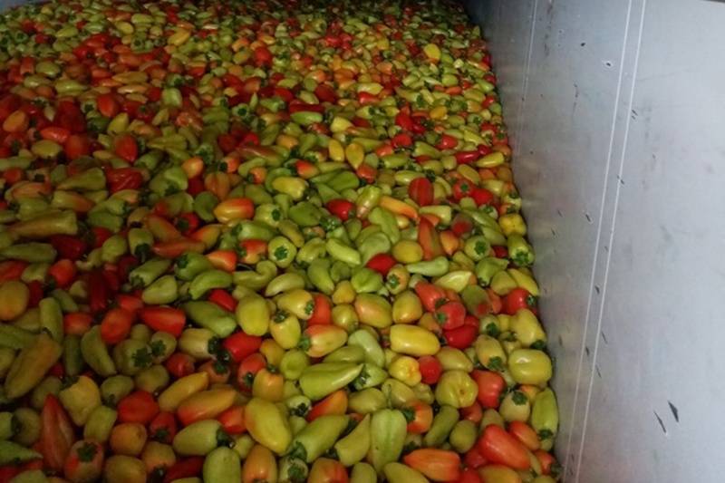 18 тонн перца вернули из Курганской области обратно в Казахстан