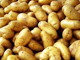 Описание сортов картофеля - Искра и Крымчатка