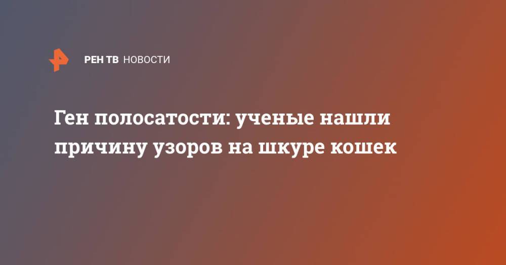 Ген полосатости: ученые нашли причину узоров на шкуре кошек