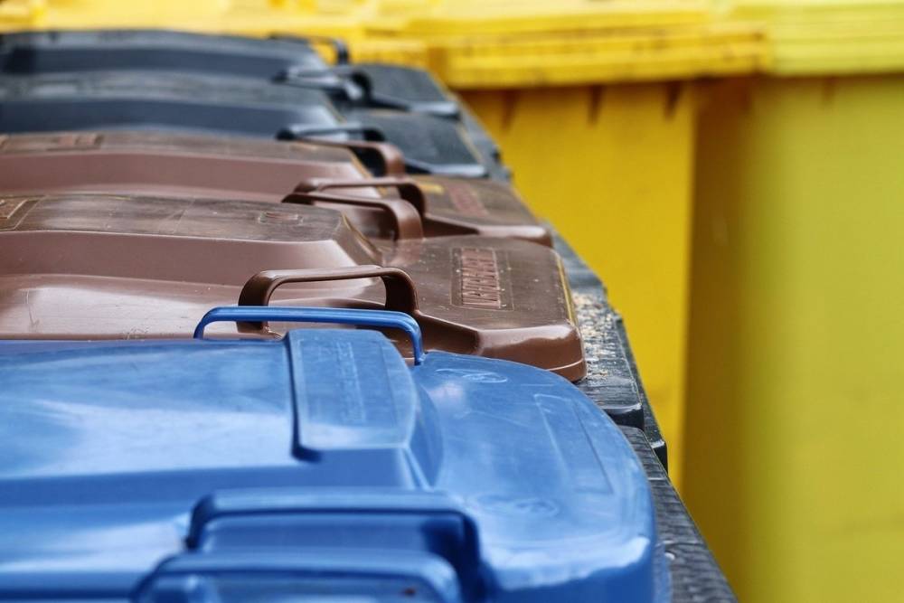 Псковская область получит субсидию на закупку контейнеров для раздельного сбора мусора