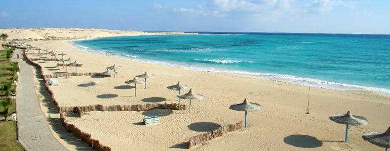 В туристической деревне Египта закрыли пляж из-за нападения акулы на человека