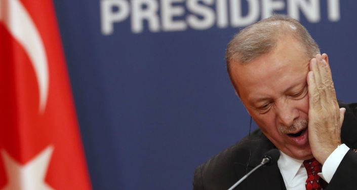 Книга Эрдогана приоткрыла завесу: с чем едет турецкий лидер на Генассамблею ООН