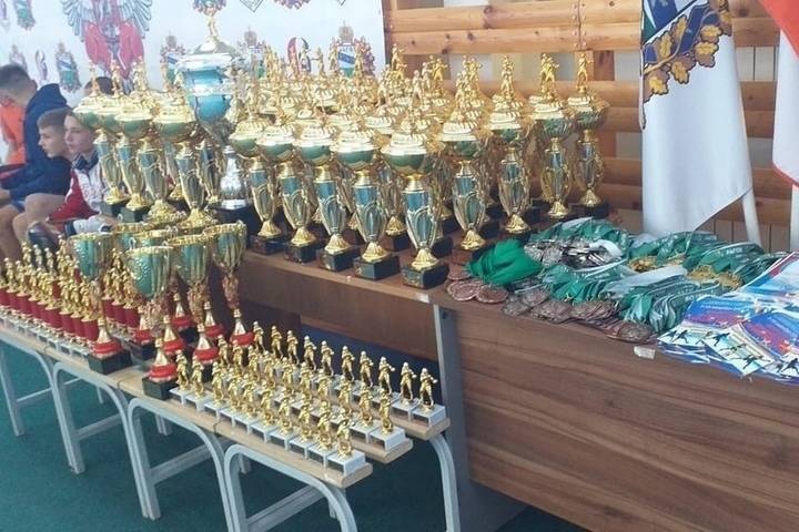 Мичуринские боксёры завоевали золото на турнире в Курской области