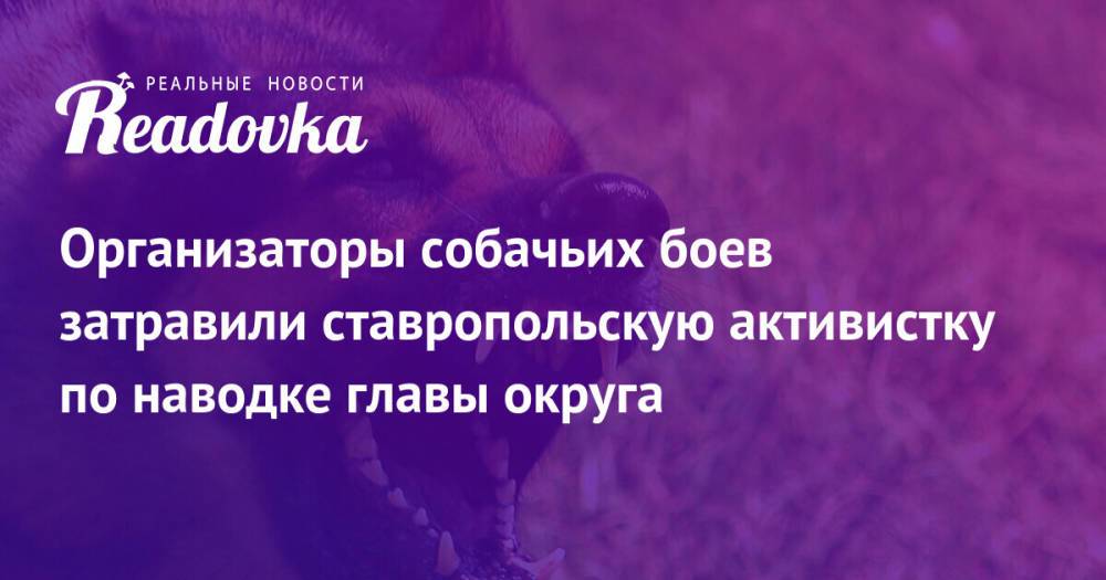 Организаторы собачьих боев затравили ставропольскую активистку по наводке главы округа