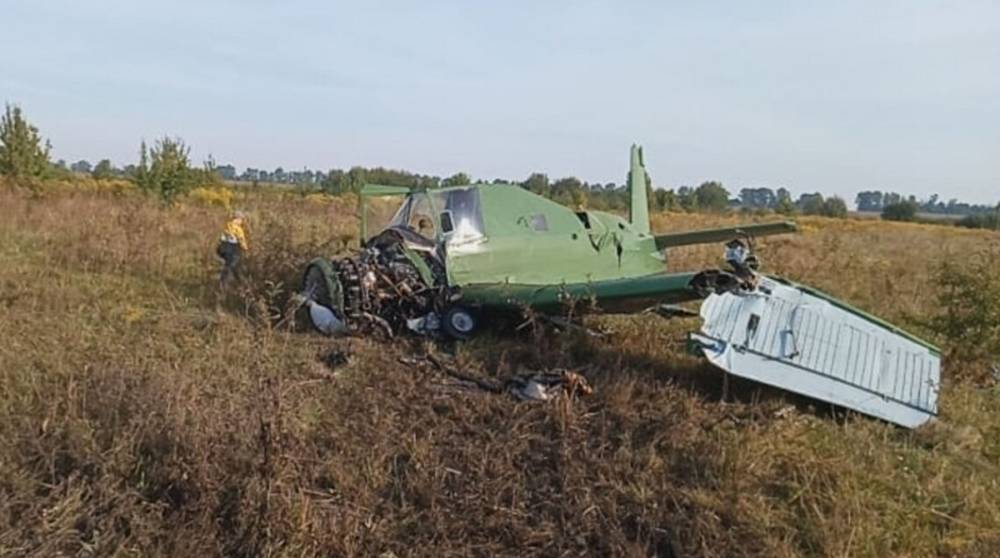 В Житомирской области упал легкомоторный самолет – видео