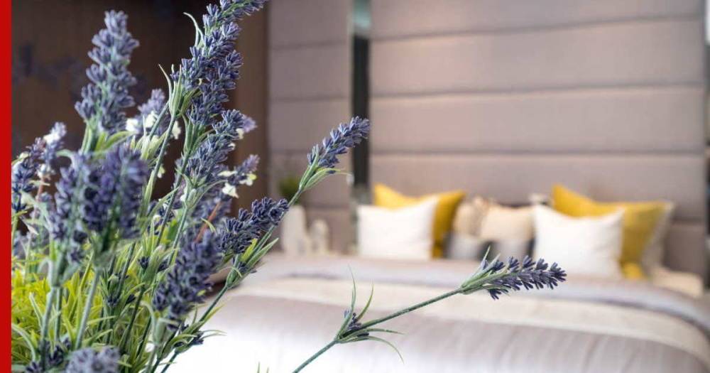Помогут улучшить сон: 5 комнатных растений, которые идеально подойдут для спальни