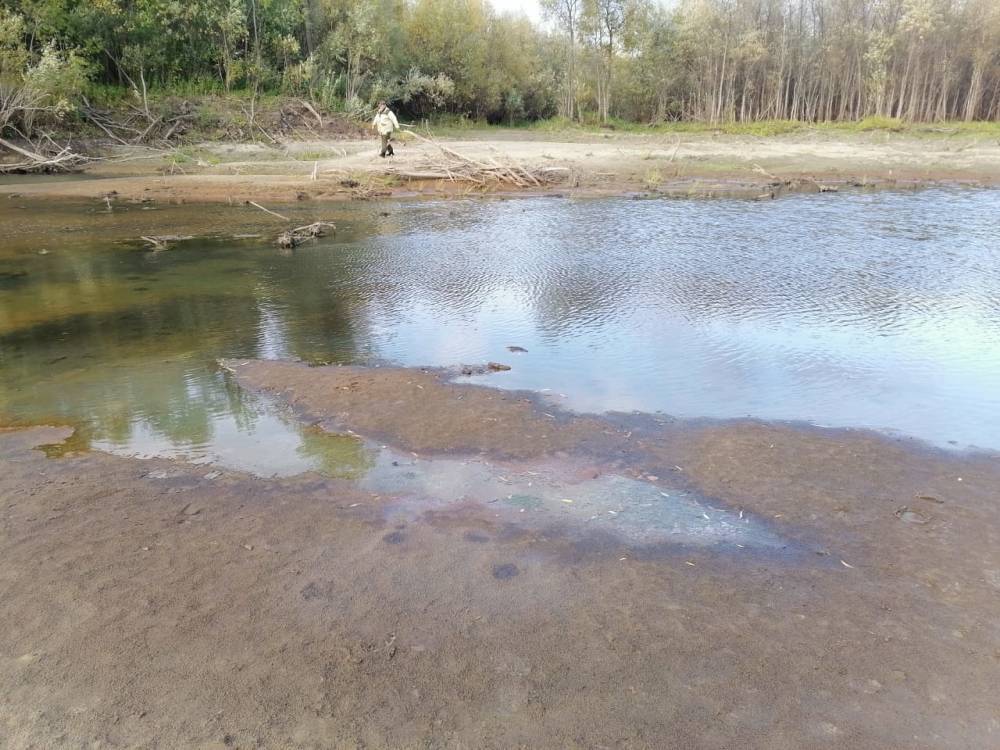 Прокуратура начала проверку после загрязнения нефтепродуктами реки в Новосибирской области