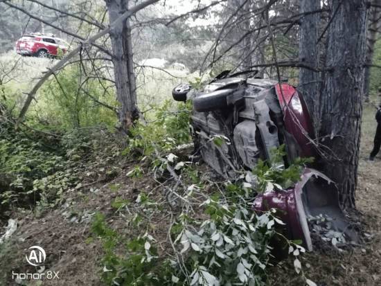 В Башкирии иномарка сбила лошадь: погиб молодой водитель и пострадали двое пассажиров