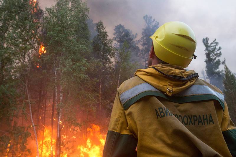 Регионы получат 8 млрд рублей в год на борьбу с лесными пожарами