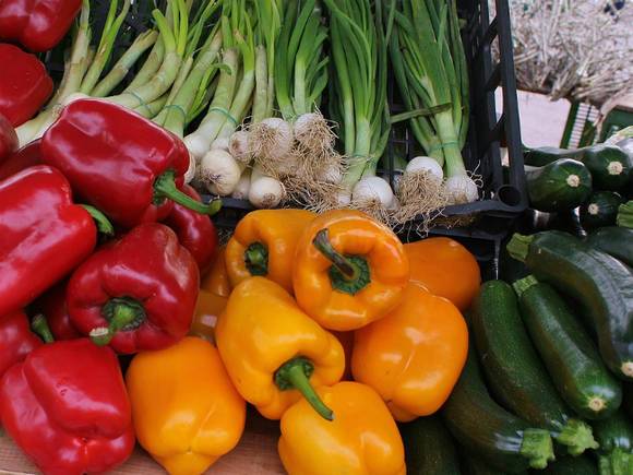 Россиянам объяснили, когда можно не платить налог при продаже овощей со своего огорода