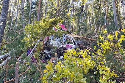 Заслуженный пилот России оценил действия экипажа разбившегося L-410
