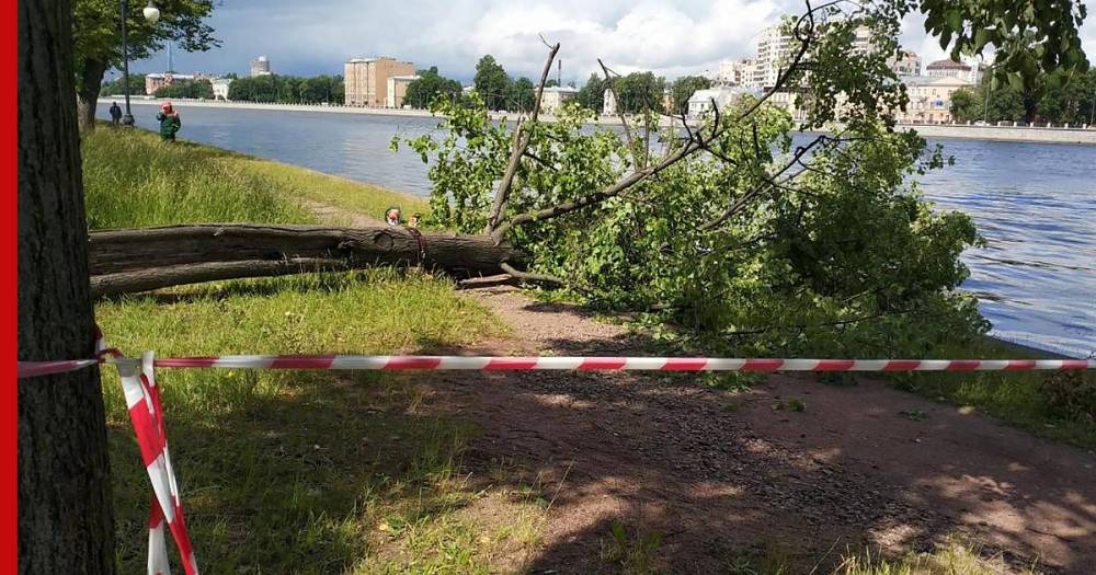Циклон "Кийан" принесет в Петербург дожди и штормовой ветер