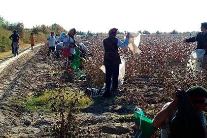 В Туркмении всех мигрантов и алкоголиков отправили в трудовые лагеря
