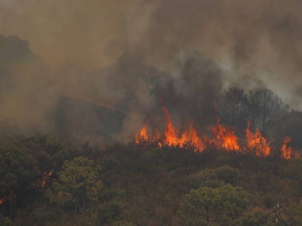 Пожары на юге Испании продолжаются: сгорело более 7 тыс. гектаров