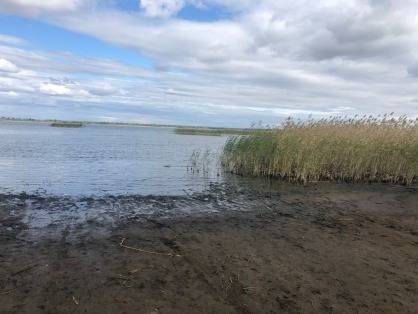 Из озера в Курганской области выловили тело жителя Челябинска. СКР начал проверку