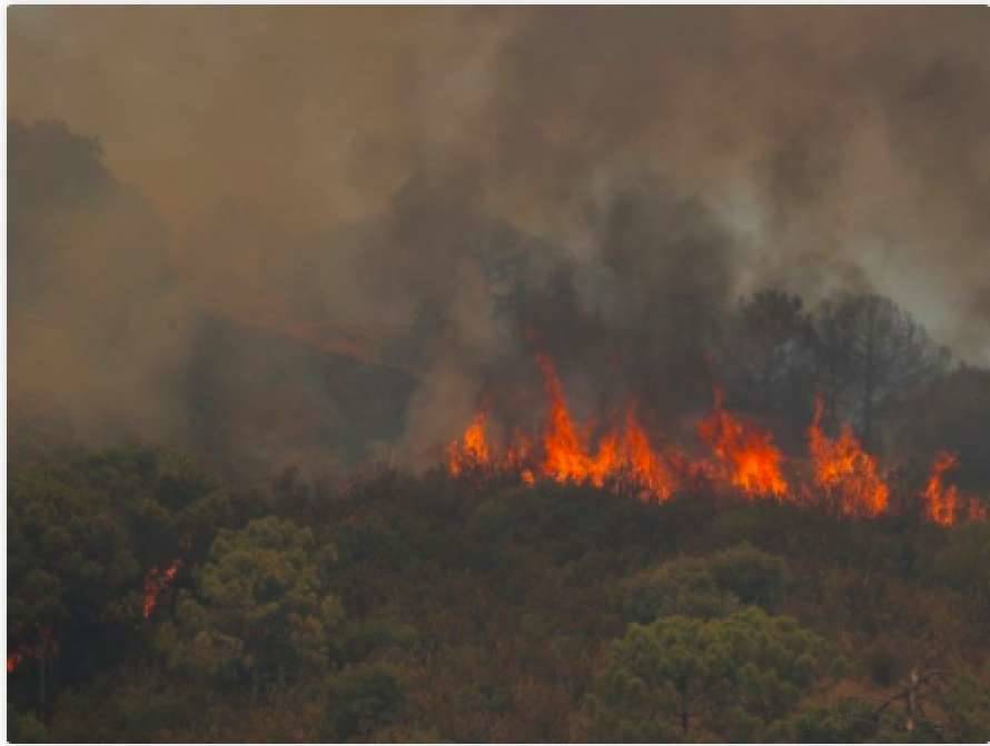На Юге Испании разгорелись ужасные пожары