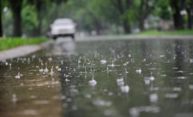 14 сентября в большинстве районов Ленобласти пройдет кратковременный дождь