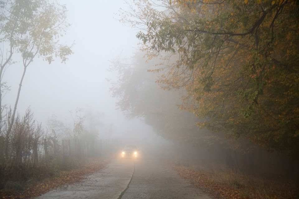Эксперт Форманчук напомнил водителям правила вождения авто в тумане