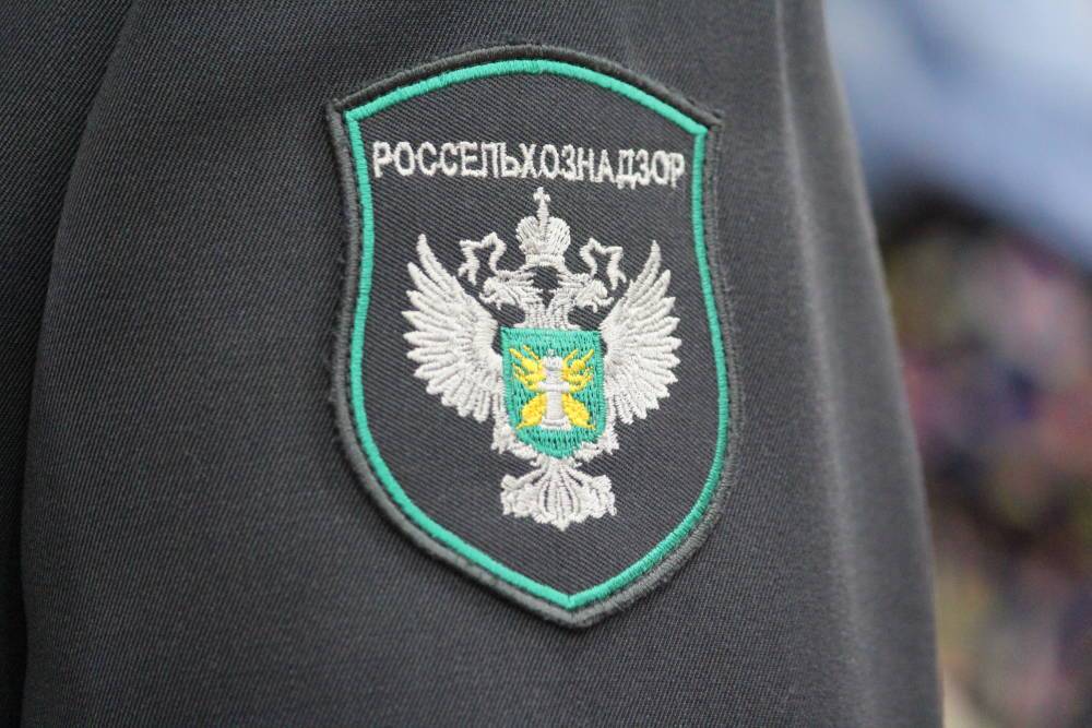 Россельхознадзор провел ветнадзор на государственной границе РФ и транспорте