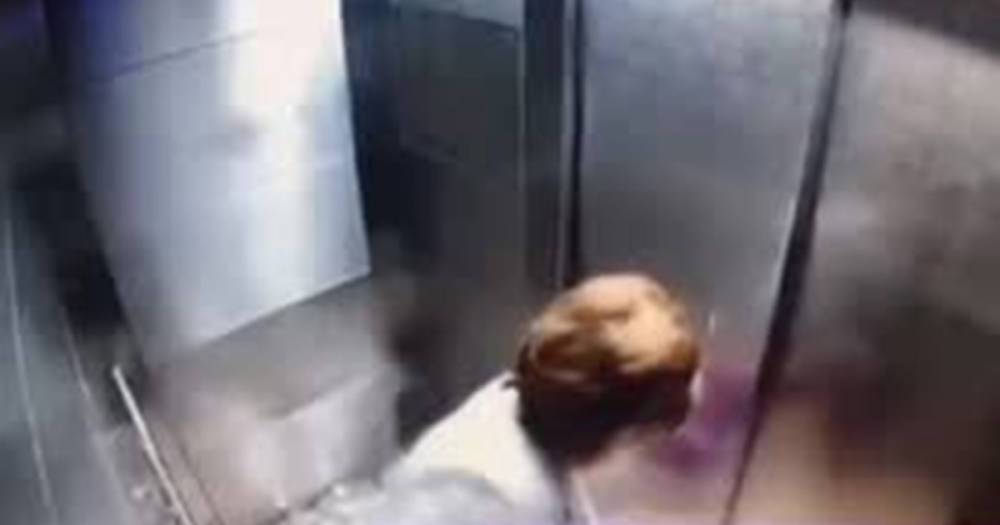 Россиянку придавило зеркалом в лифте московской многоэтажки
