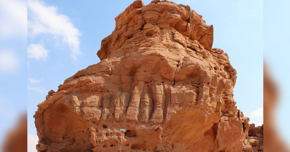 Караван из каменных верблюдов. В Саудовской Аравии обнаружили 8-тысячелетний барельеф