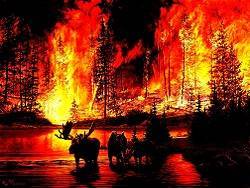 В Якутии отменили режим ЧС и сразу открыли сезон охоты на уцелевших в пожарах животных