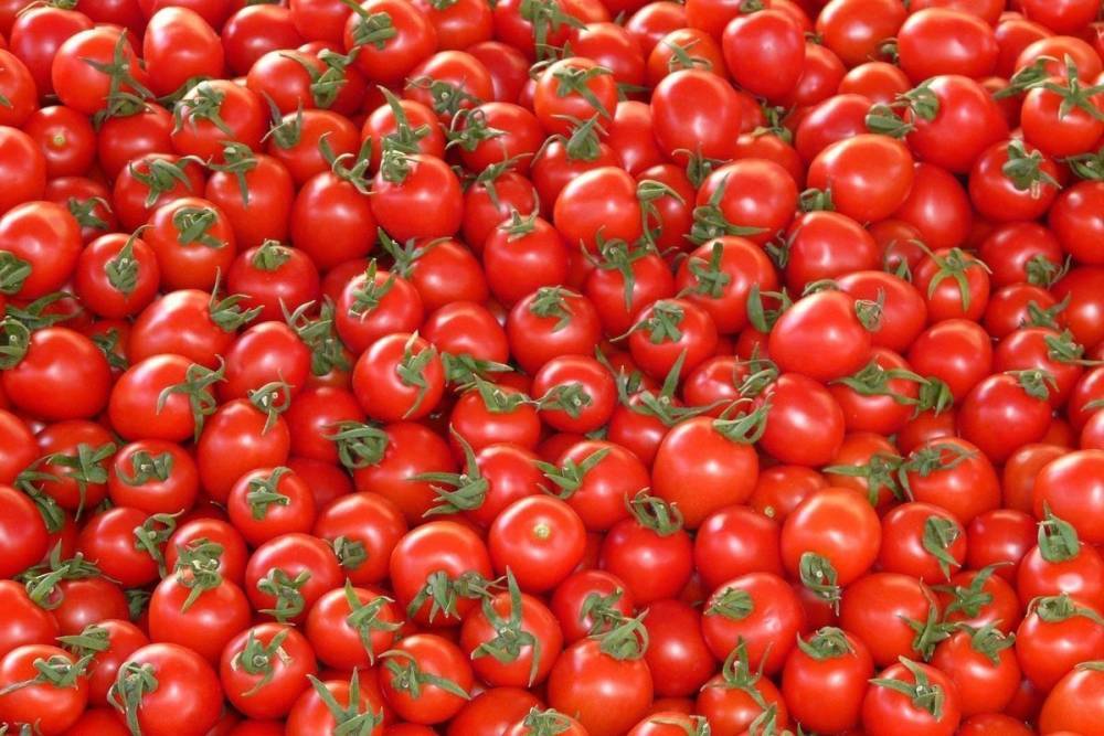 Ставрополье и КЧР вошли в топ-10 регионов по производству тепличных овощей